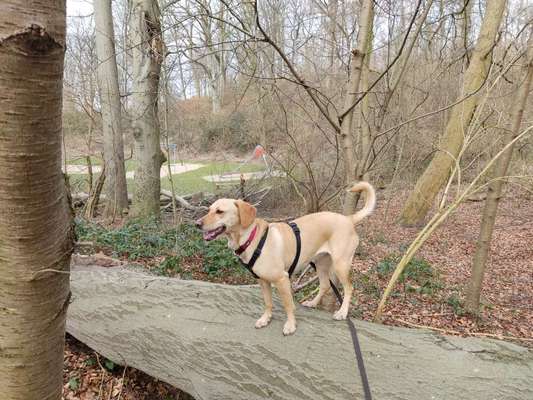 Doppelgänger gesucht !-Beitrag-Bild