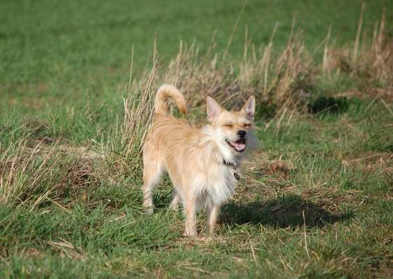 Lieblings Fotos-Beitrag-Bild