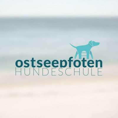 Hundeschulen-Hundeschule Ostseepfoten-Bild