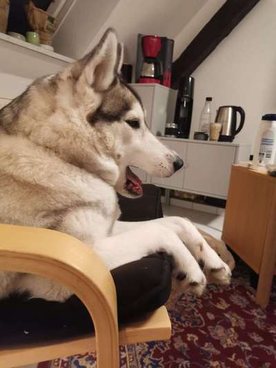 Her mit dem Grimassen-Beitrag-Bild