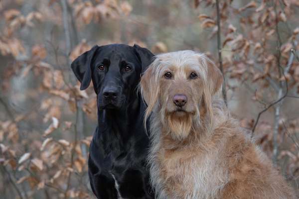 Lieblings Fotos-Beitrag-Bild