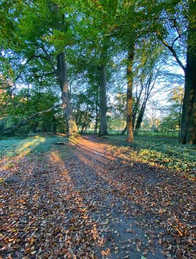 Hundeauslaufgebiet-Höpkens Ruh und Muhles Park-Bild