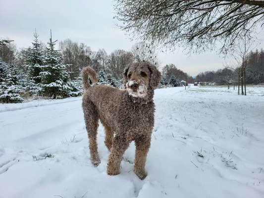 Verspielt-Beitrag-Bild