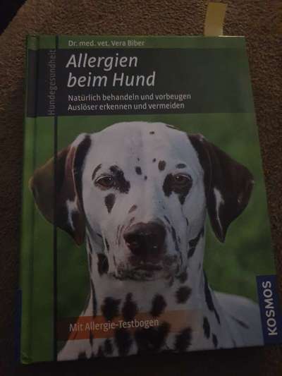 Ernährung bei Allergien-Beitrag-Bild