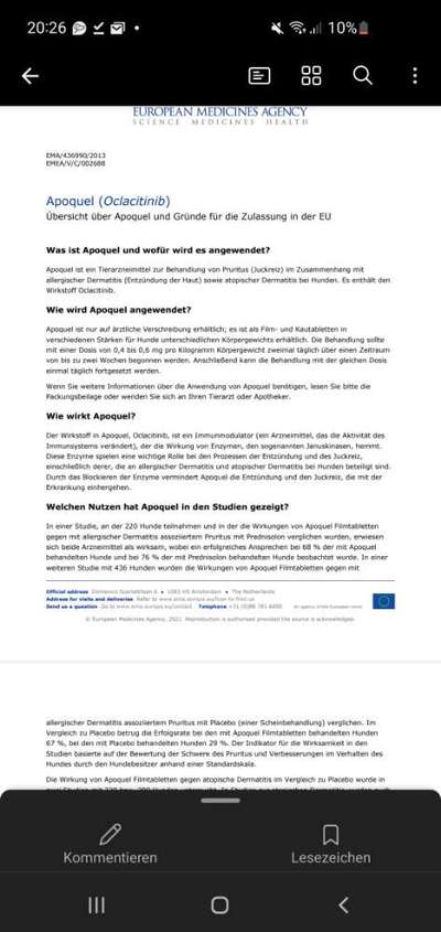 Französische Bulldoggen-Beitrag-Bild