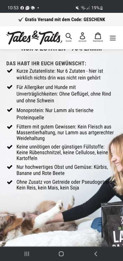 Französische Bulldoggen-Beitrag-Bild