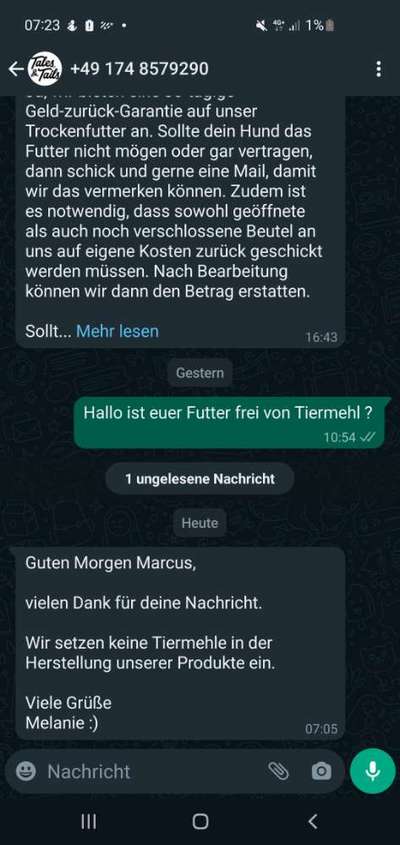 Französische Bulldoggen-Beitrag-Bild