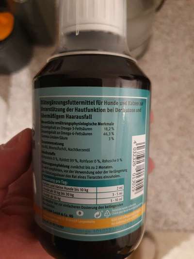 Französische Bulldoggen-Beitrag-Bild