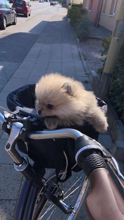 CHALLENGE NR. 18 - ON TOUR-Beitrag-Bild