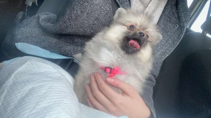 CHALLENGE NR. 18 - ON TOUR-Beitrag-Bild