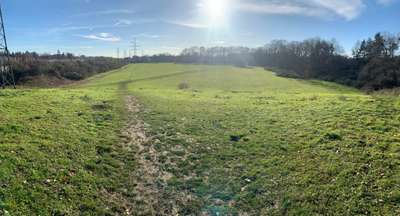 Hundeauslaufgebiet-Merheimer Heide Süd (Höhenberg)-Bild