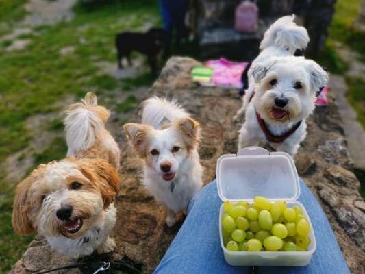 Challenge 30  Freundschaft-Beitrag-Bild