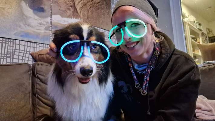 Hunde Porträt (Portrait) Galerie....-Beitrag-Bild