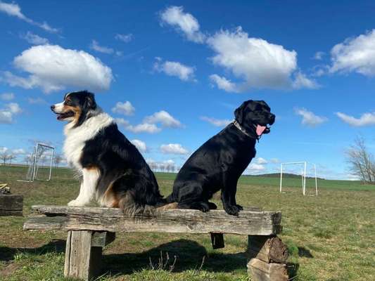 Dogorama Photo Challenge - Bänke-Beitrag-Bild