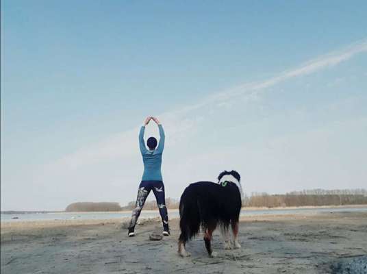 Dogorama Photo Challenge - Bänke-Beitrag-Bild