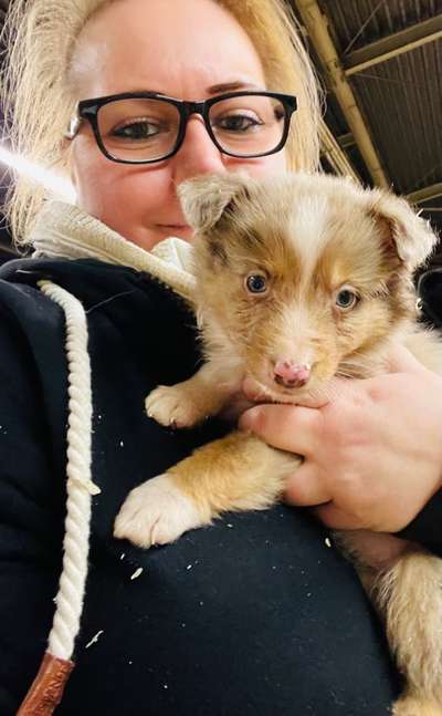 Das erste Bild eures Hundes-Beitrag-Bild