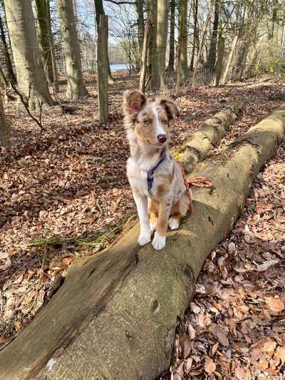 Theos Fotochallenge Nr. 3-Beitrag-Bild