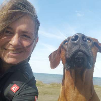 Hundetreffen-Suche Canicross- oder Dogscooter-Gruppe für Anfänger