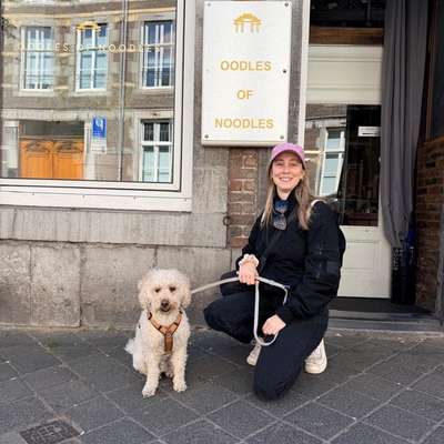 Hundetreffen-Gassirunde / Hundefreunde in Herzogenrath oder Aachen-Bild