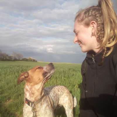 Hundetreffen-gruppen wanderung-Bild