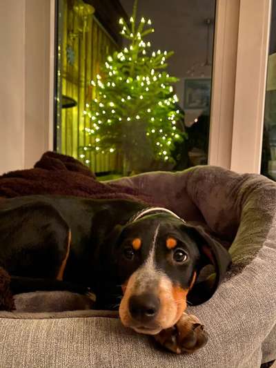 Fotochallange Nr. 6 Die irrsten Blicke-Beitrag-Bild