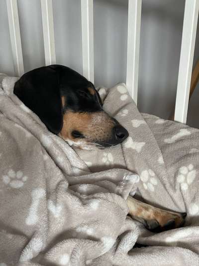 Blick fürs Detail!-Beitrag-Bild