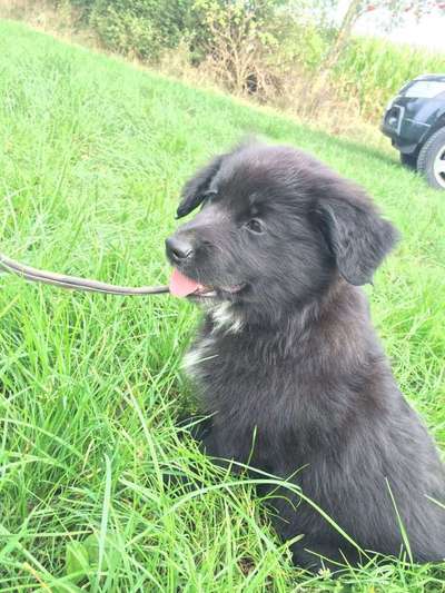 Das erste Foto-Beitrag-Bild