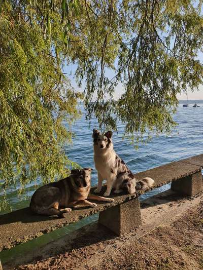 Lieblingsbild-Beitrag-Bild