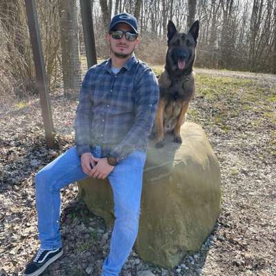 Hundetreffen-Hundetreffen am Fliegerhorst in Kaufbeuren