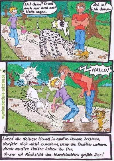 "Sozialisierung" von Dieter Paul Hundetrainer-Beitrag-Bild