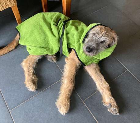 Von oben-Beitrag-Bild