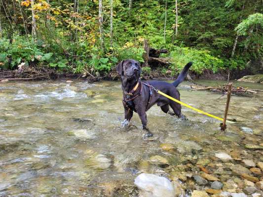 Ist das ein...?-Beitrag-Bild