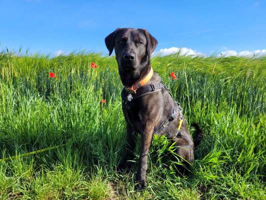 Doppelgänger gesucht !-Beitrag-Bild