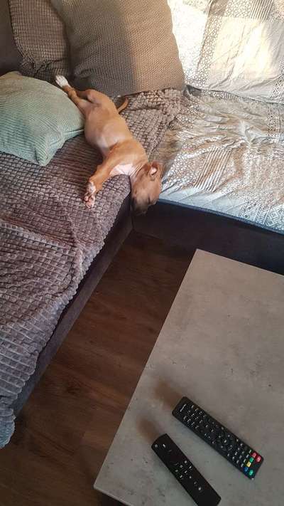 Verrückte Schlafpositionen-Beitrag-Bild