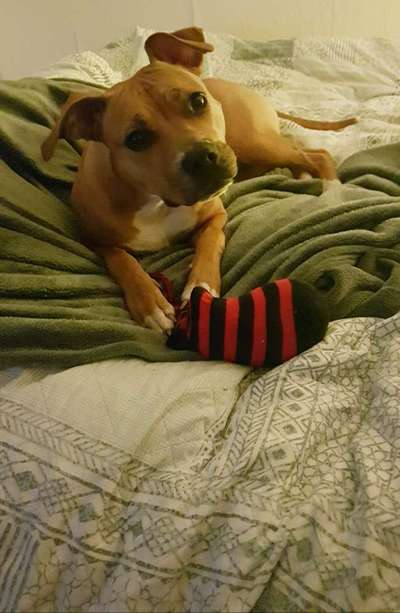 Bettel Blicke-Beitrag-Bild