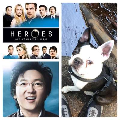 Wie heißt dein Hund?-Beitrag-Bild