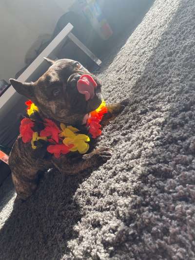 LUSTIGE FOTOS! WER KANN MITHALTEN?-Beitrag-Bild