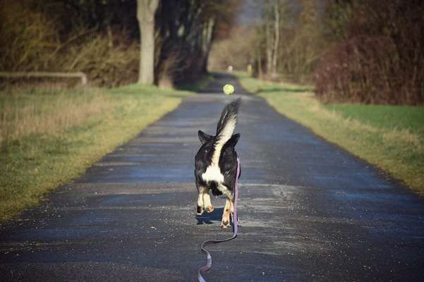 Austausch zur Fotografie-Beitrag-Bild