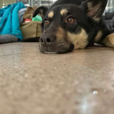 Wie habt ihr den Silvesterabend verbracht?-Beitrag-Bild