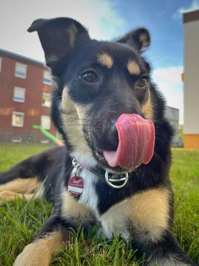 Tongue Out Tuesday-Beitrag-Bild