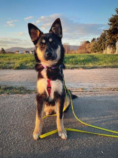 Lieblingsbild-Beitrag-Bild