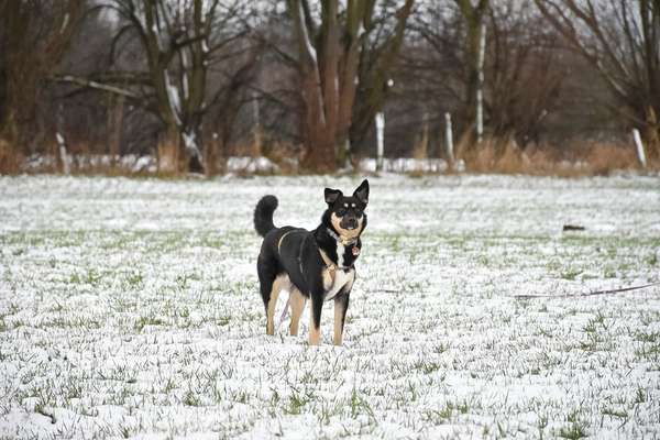 Austausch zur Fotografie-Beitrag-Bild