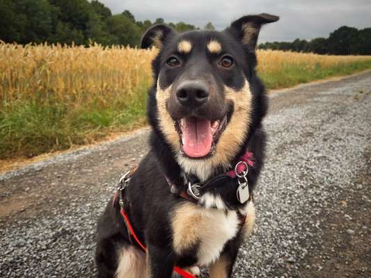 Doppelgänger gesucht !-Beitrag-Bild