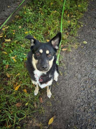 Zeigt eure Portraits-Beitrag-Bild