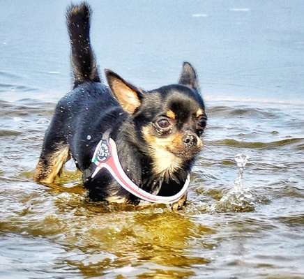 FOTOCHALLANGE NR.71 BADEFREUDE-Beitrag-Bild