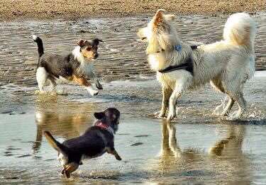 Fotochallenge 69-Beitrag-Bild