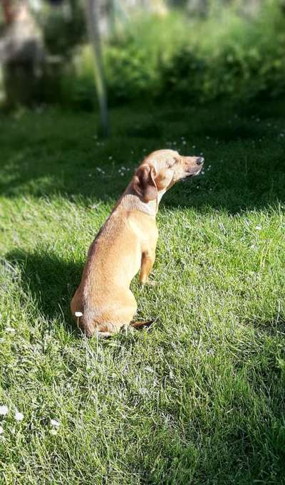 Lieblingsbild-Beitrag-Bild