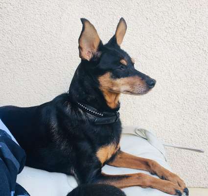 Fotochallenge Nr. 56 - geliebte Senioren-Beitrag-Bild