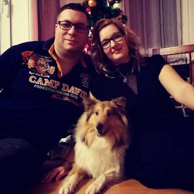 Hundetreffen-Spielrunde und neue Hunde Freunde kennen lernen-Profilbild