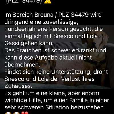 aktuelles Foto Gruppe Gassiservice & Tierbetreuung Kassel